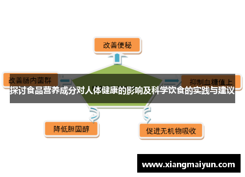 探讨食品营养成分对人体健康的影响及科学饮食的实践与建议