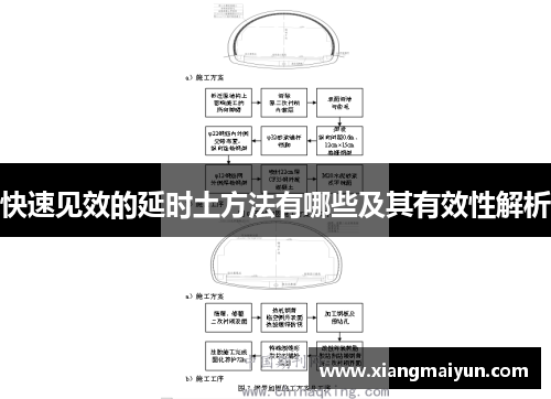 快速见效的延时土方法有哪些及其有效性解析